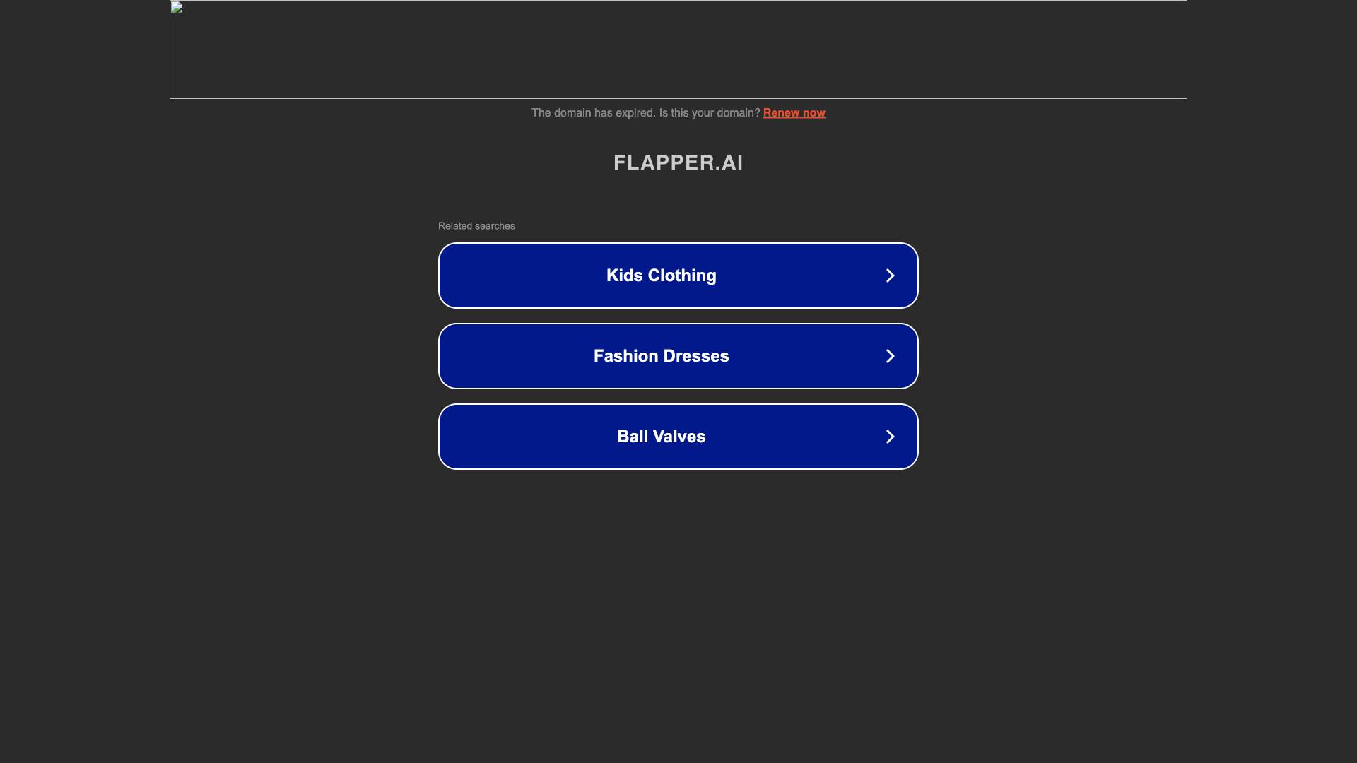 Flapper.ai Screenshot